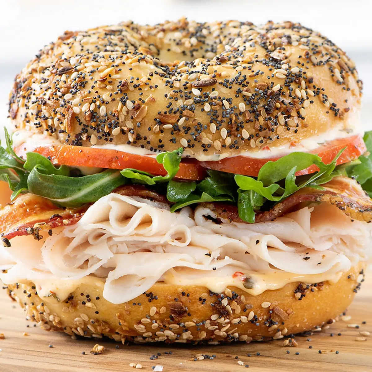Toasted Ham and Cheese on an Everything Bagel