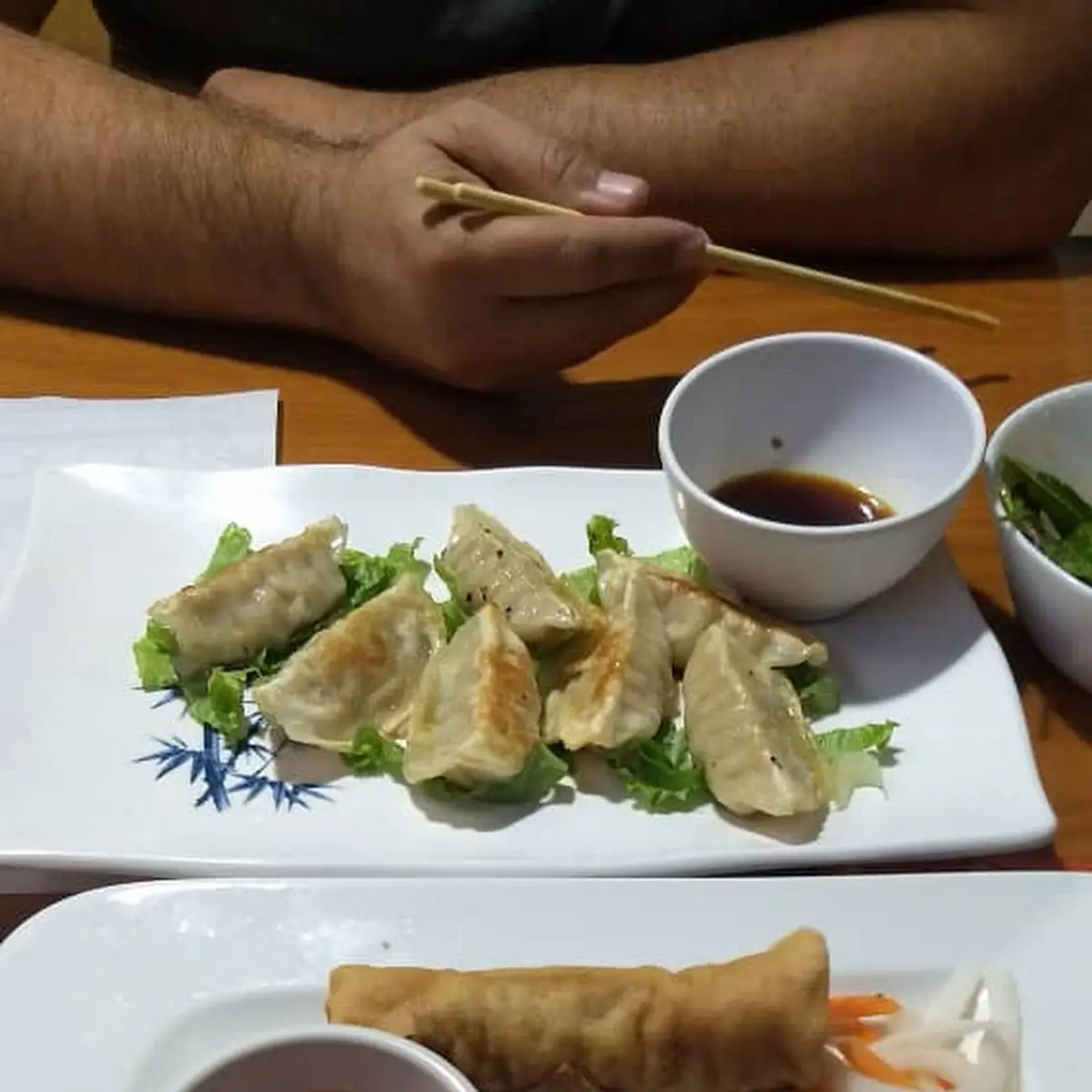 Spring Rolls Cha Gio