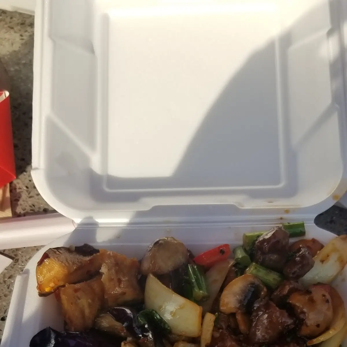 Eggplant with Garlic Sauce and Kung Pao Chicken