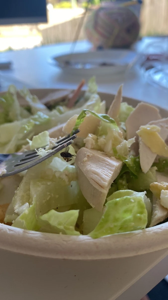 Regular Salad, Soul Origin Bayside Centre