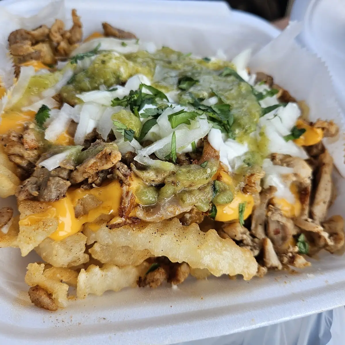 Loaded Fries