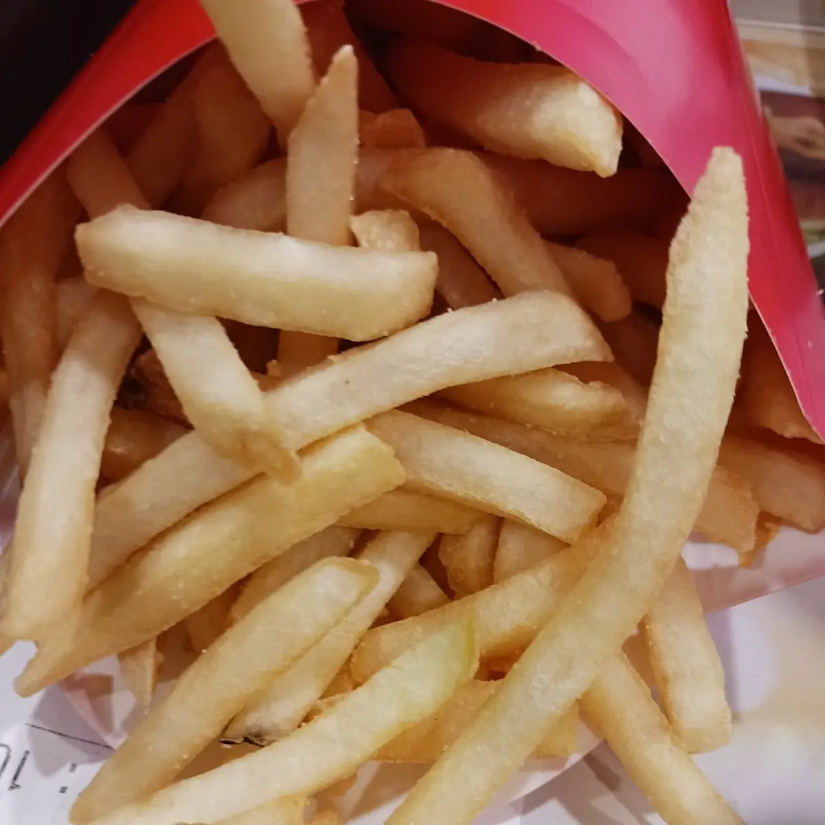 World Famous Fries