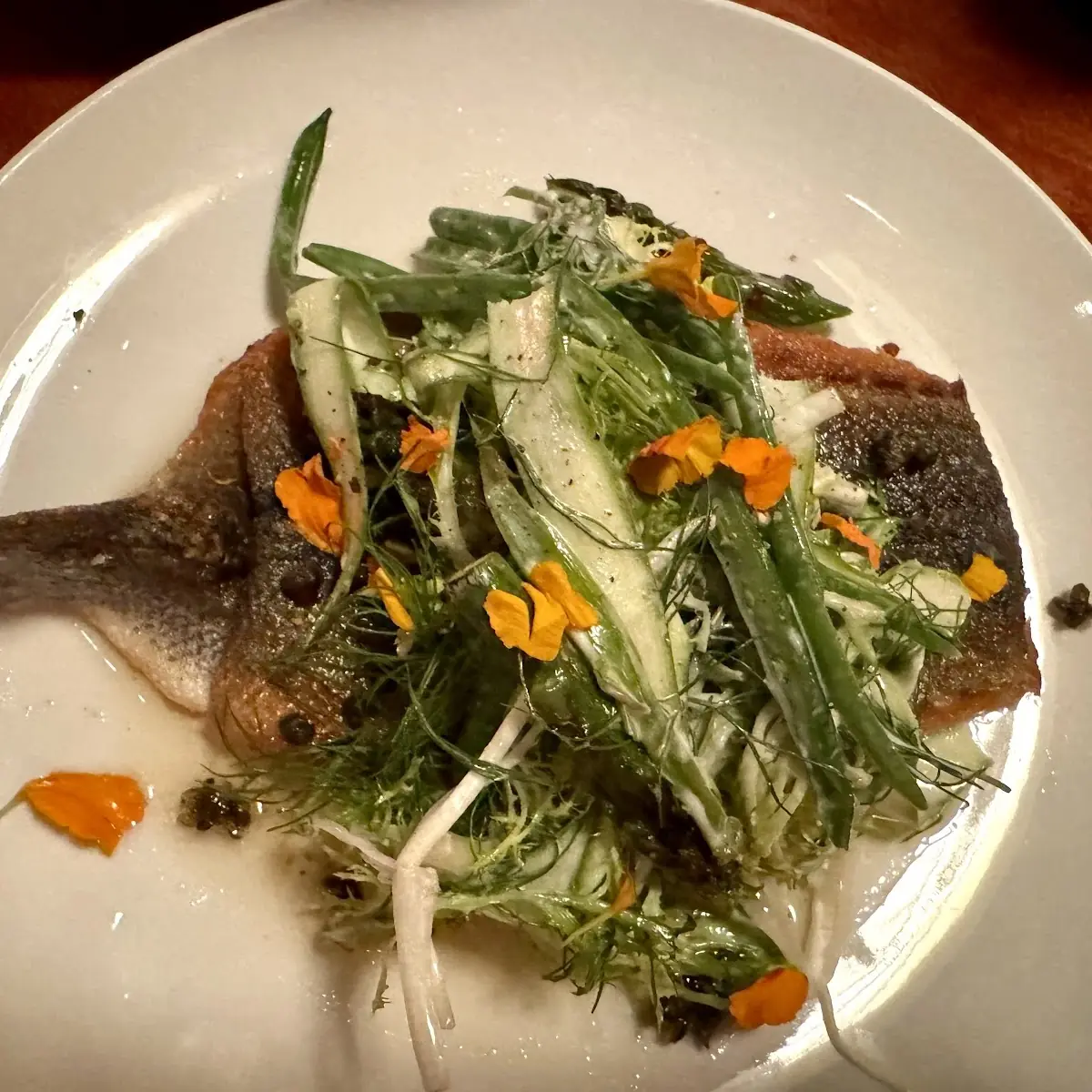 Sea Bass