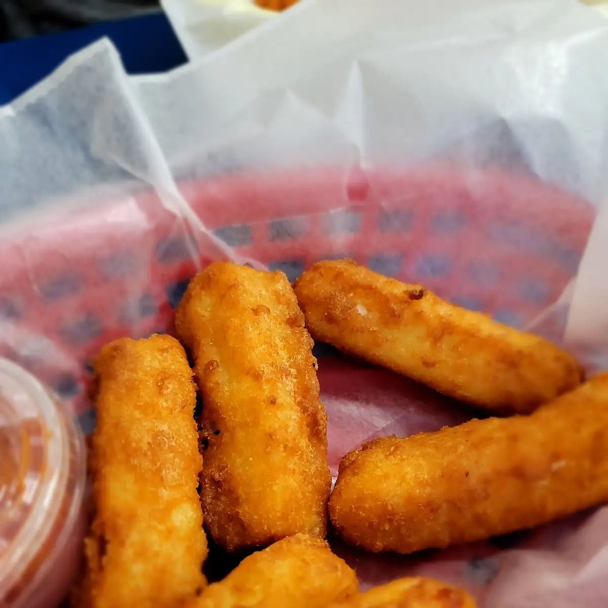 Mozzarella Cheese Sticks