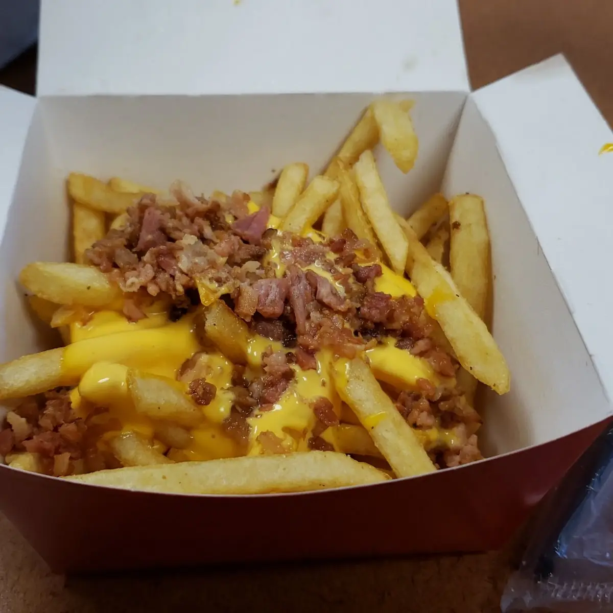 World Famous Fries