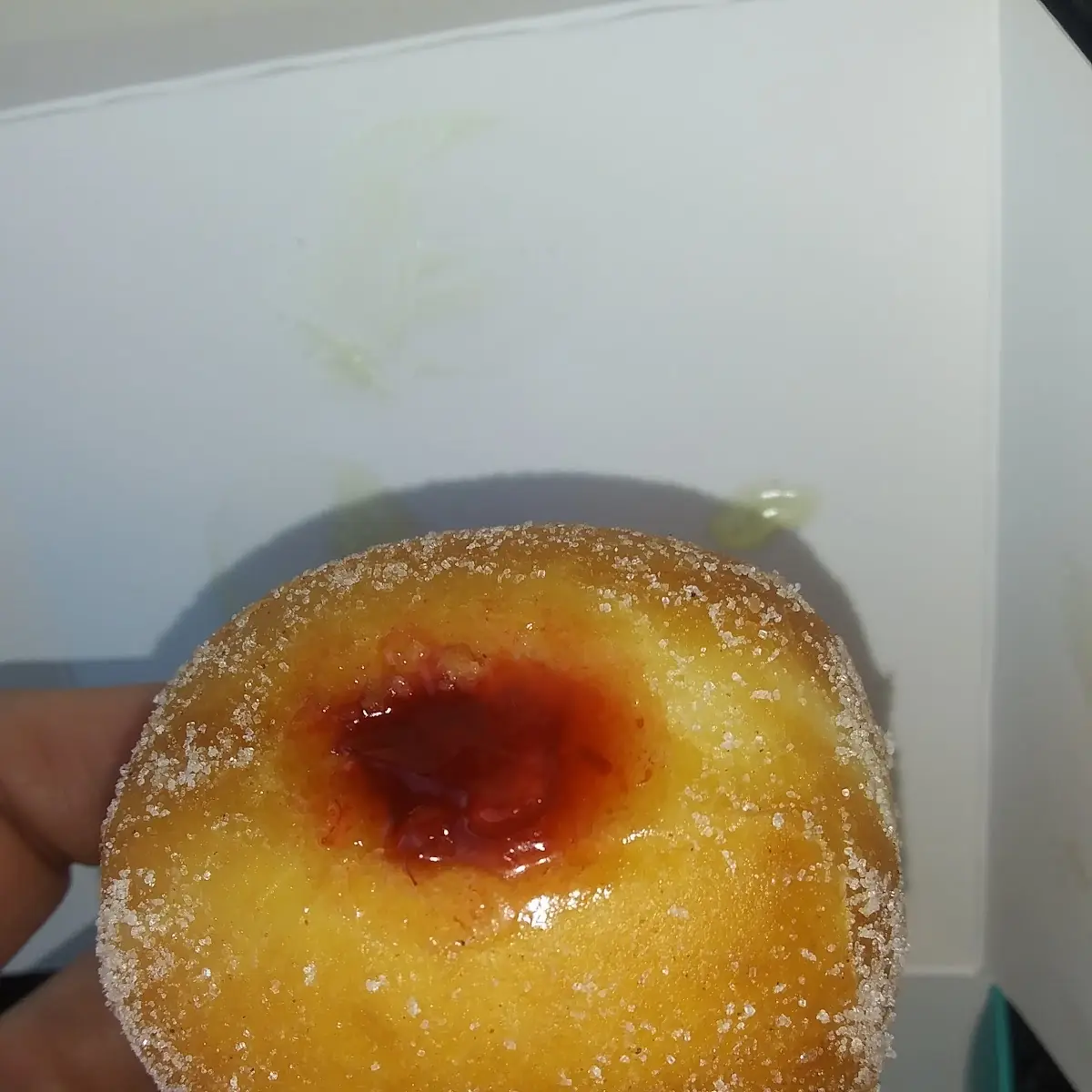 Raspberry Cream Doughnut