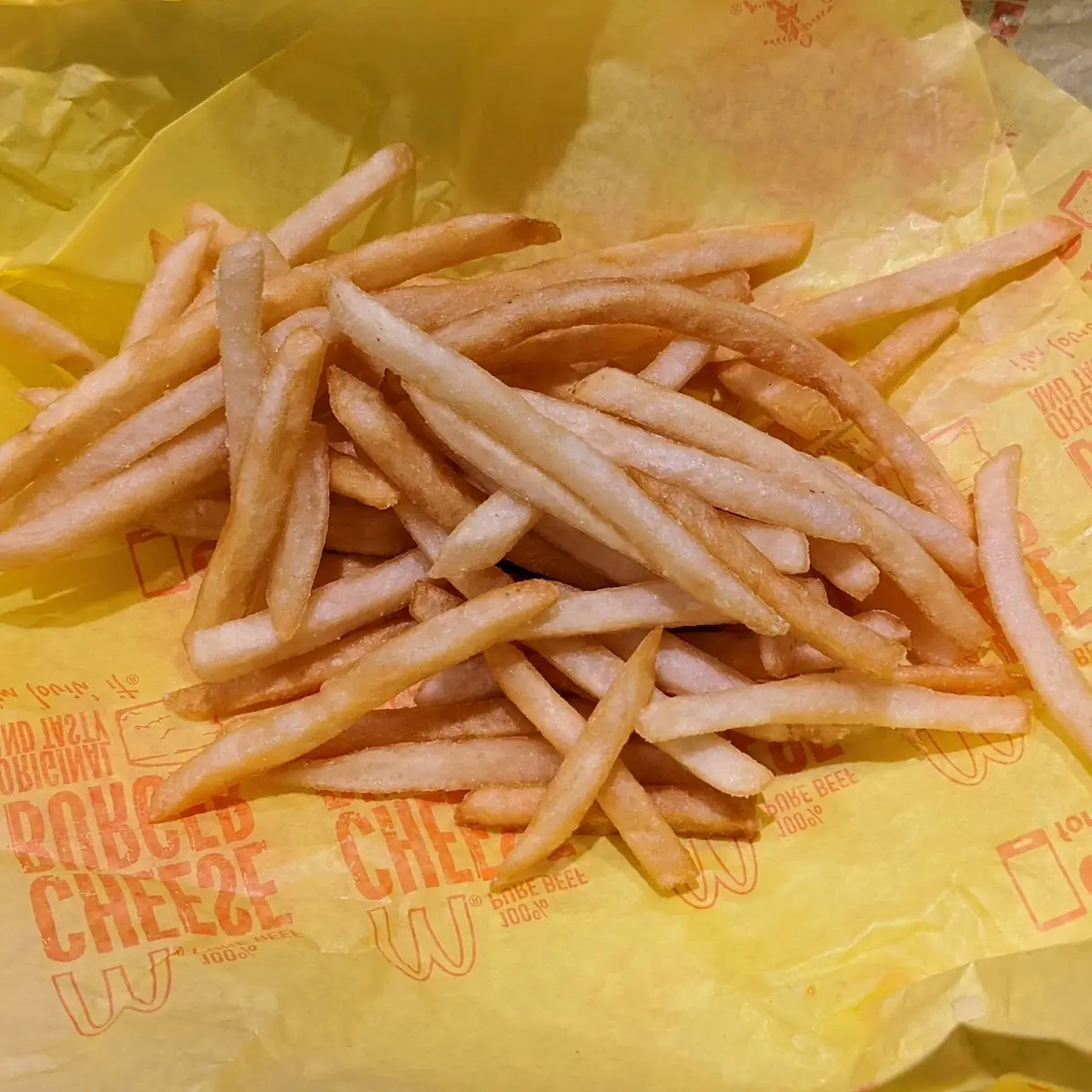 World Famous Fries