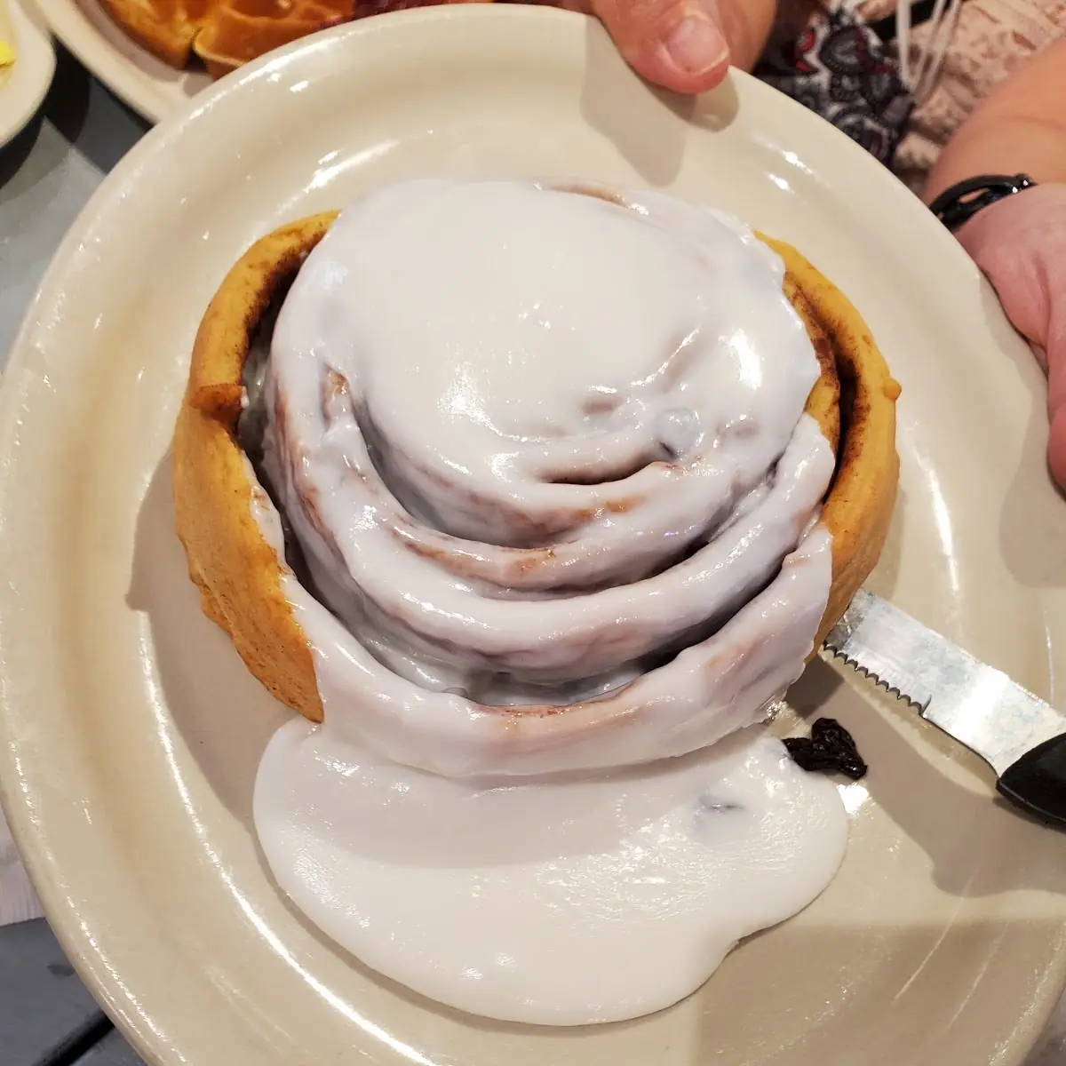 Cinnamon Bun