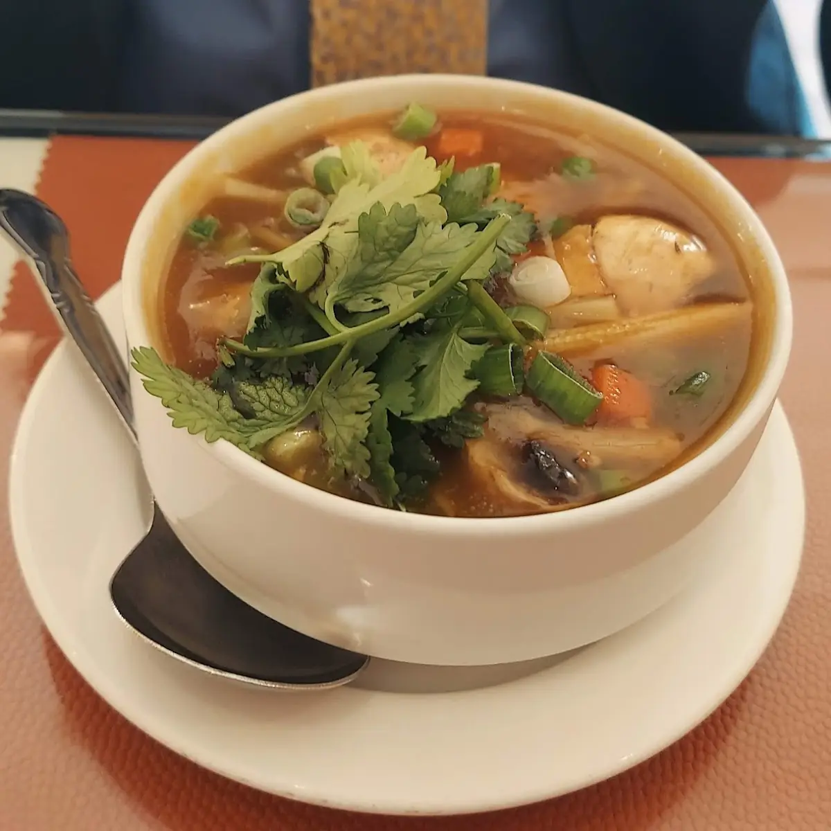 Hot and Sour Soup