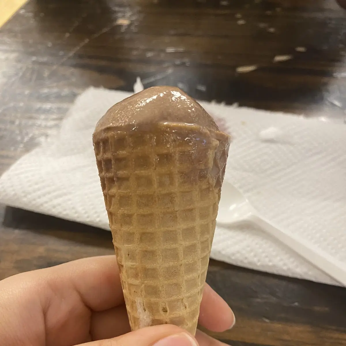 Large Waffle Cone