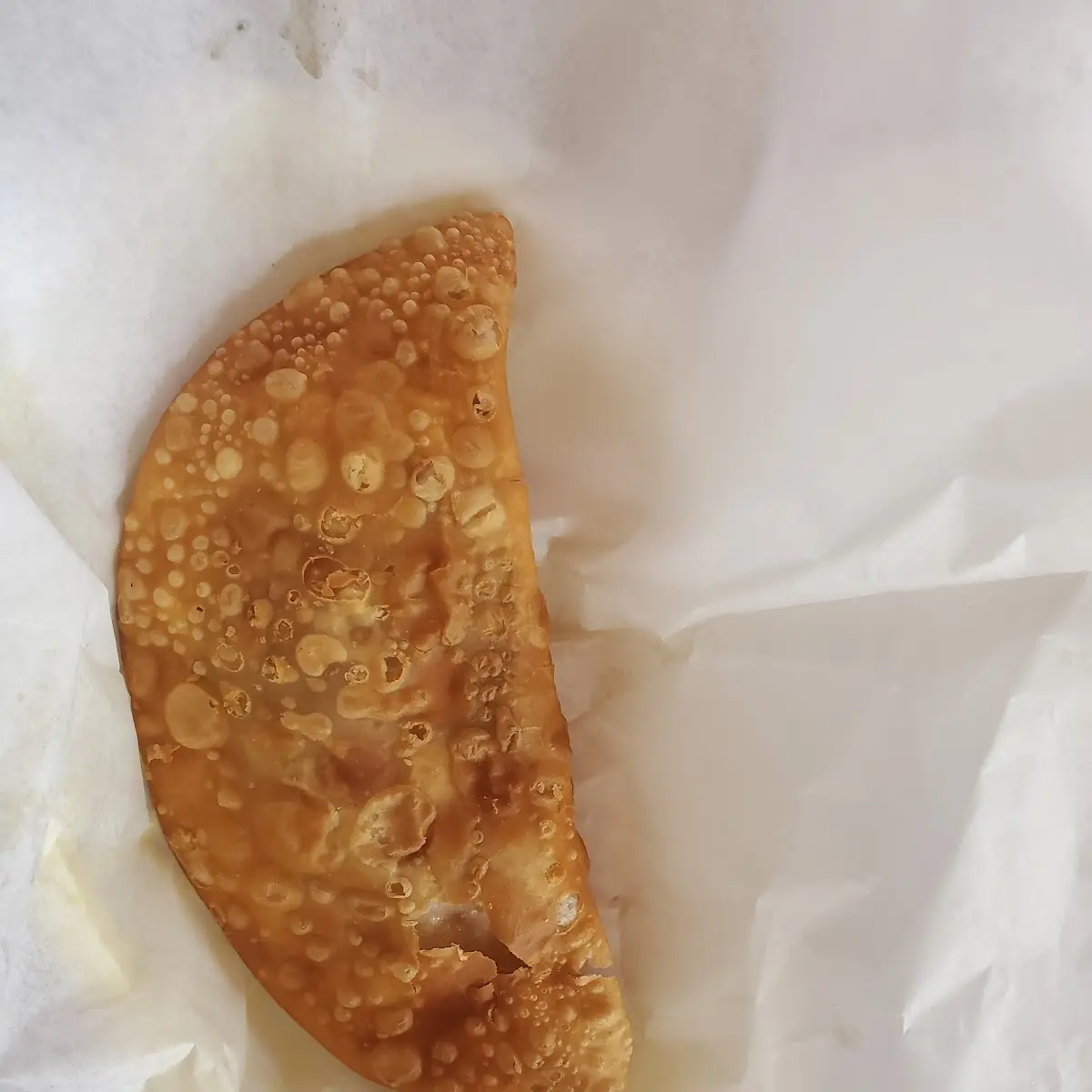 Chicken Empanada Pollo