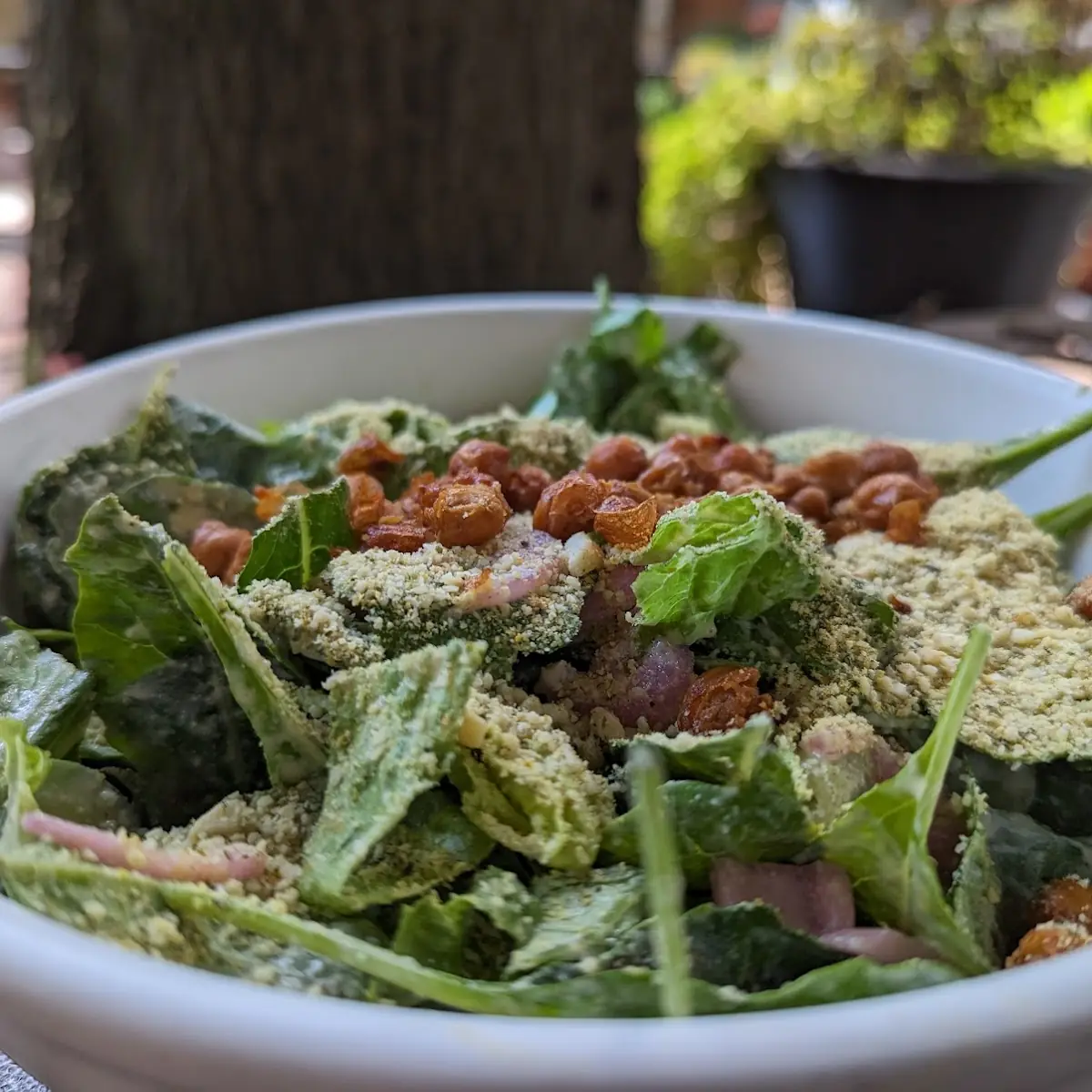 Kale Caesar Salad