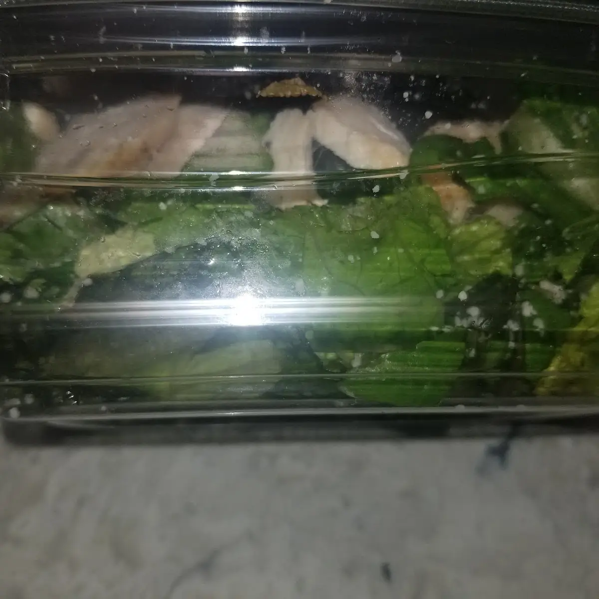 Chicken Caesar Salad