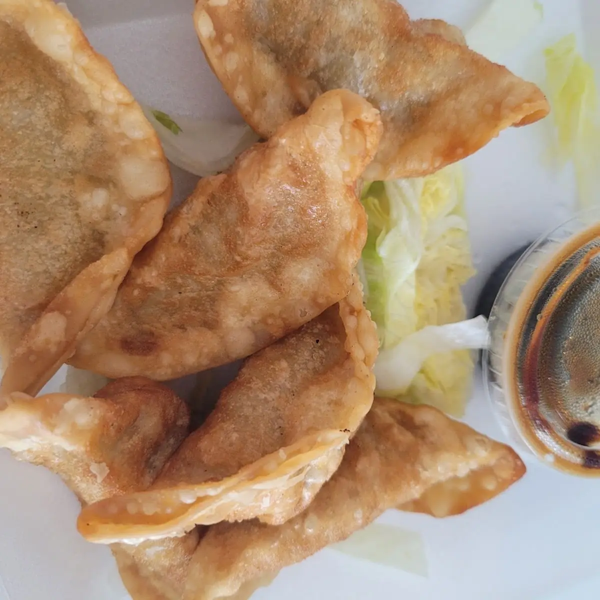 Pot Stickers