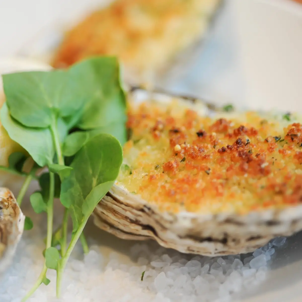 Char-Broiled Chesapeake Oysters