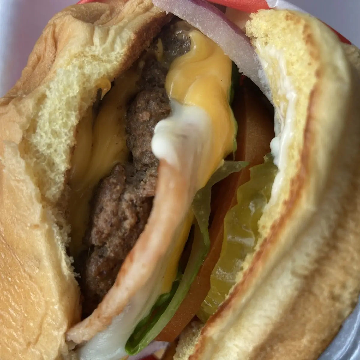 Mexican Burger