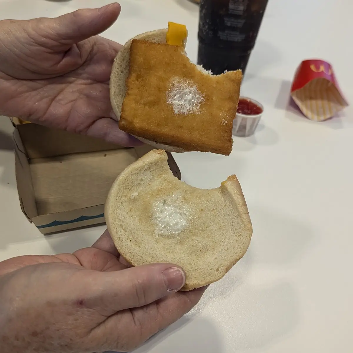 Fish Sandwich
