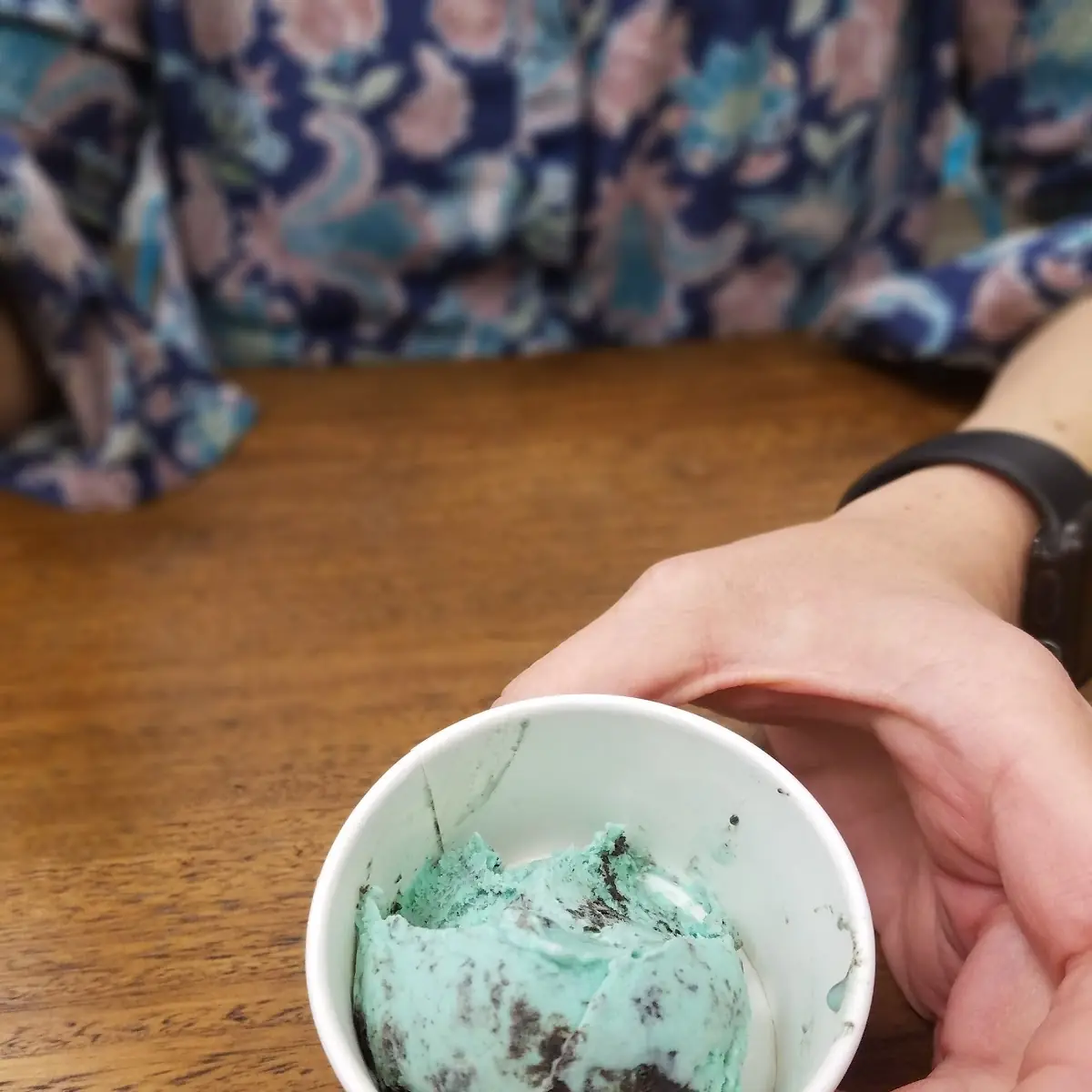 Mint Chocolate Ice Cream