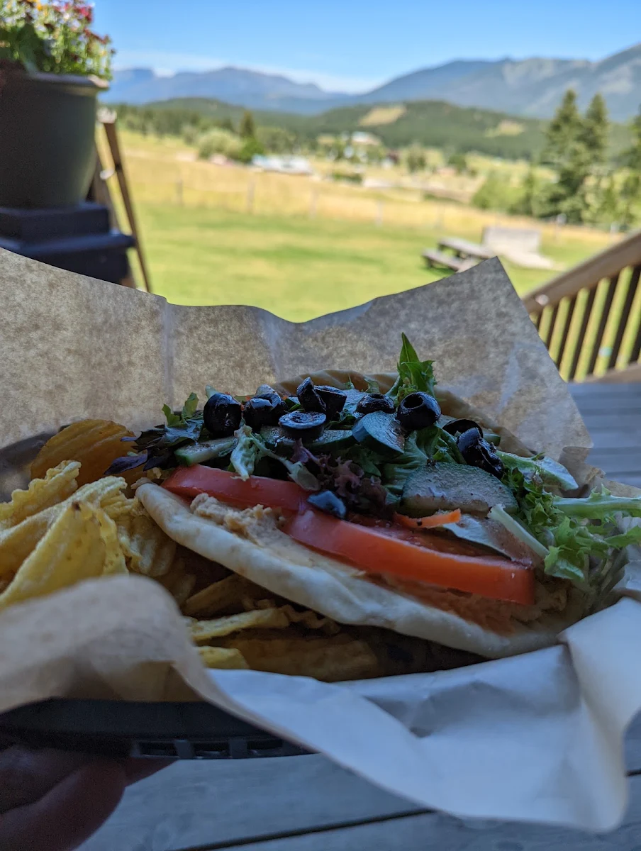 Hummus and Veggie Pita