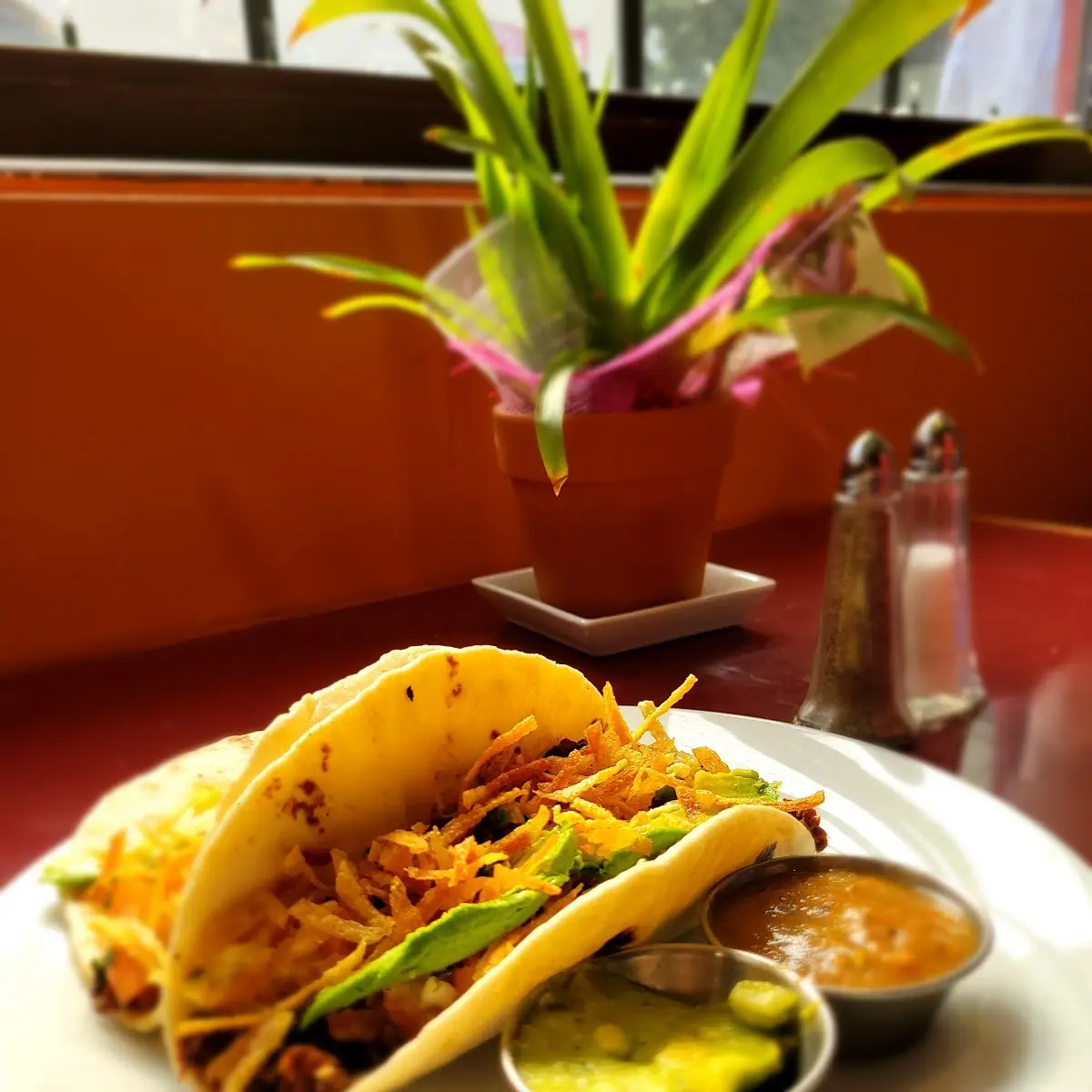 Breakfast Tacos