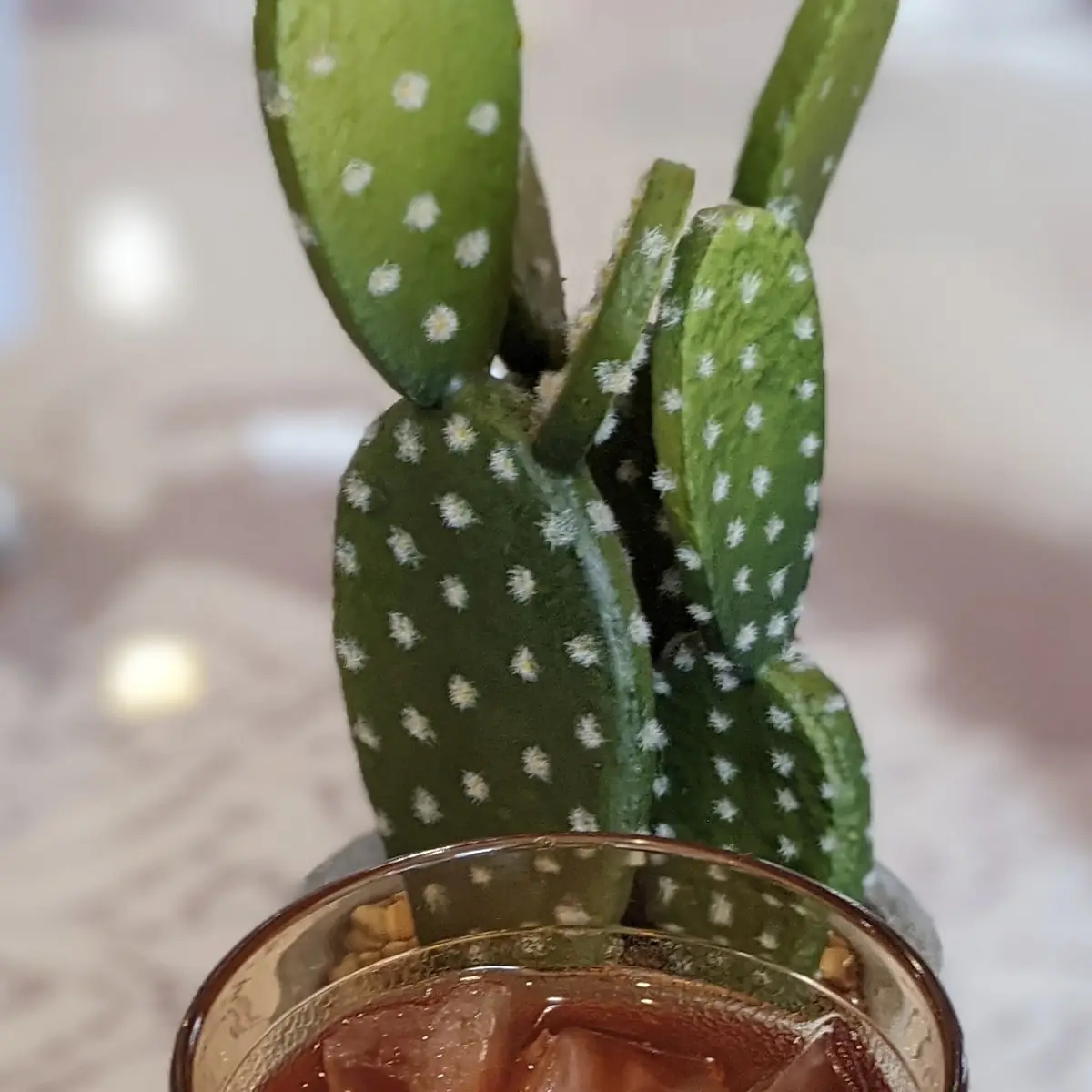 Mint Tea