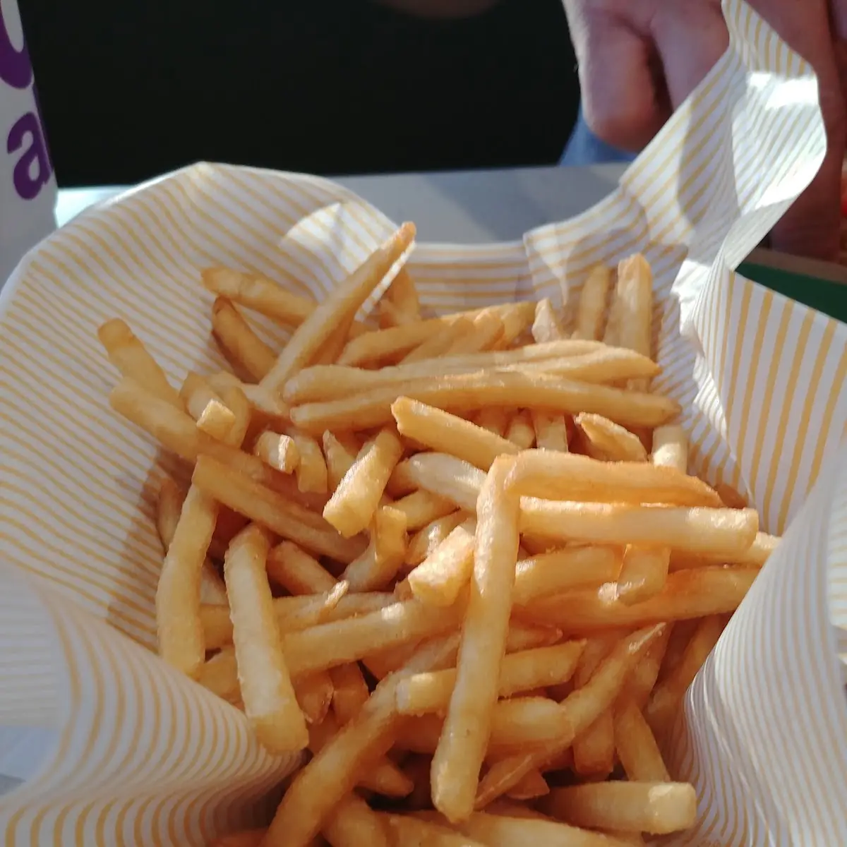World Famous Fries
