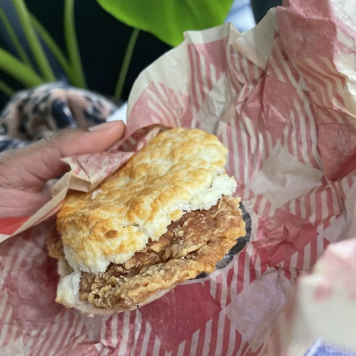 Chicken Biscuit