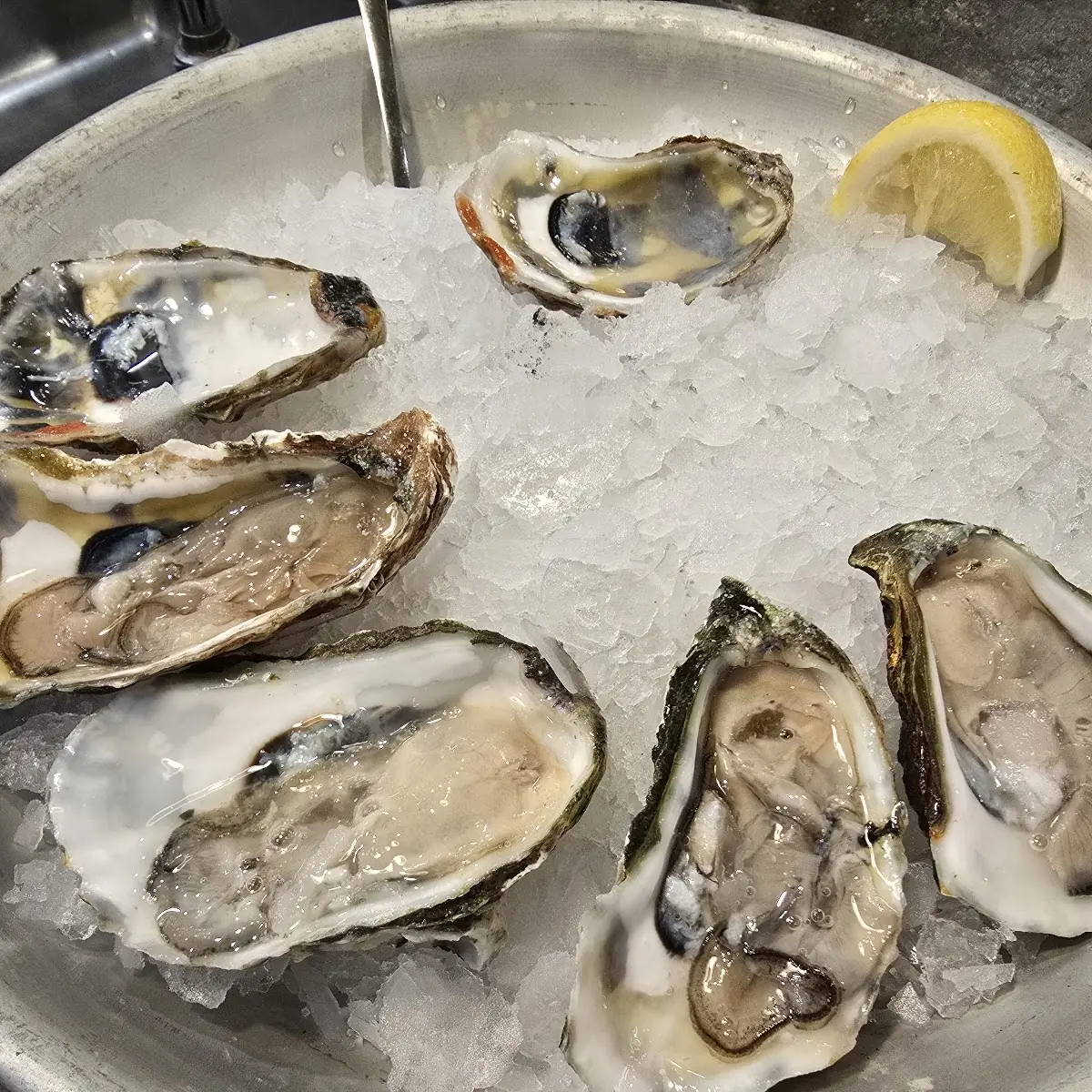 Fried Oysters