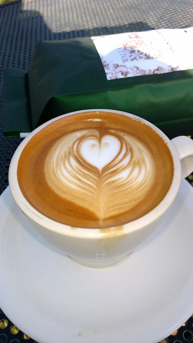 Cappuccino