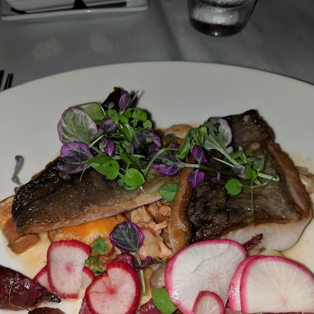 Sea Bass