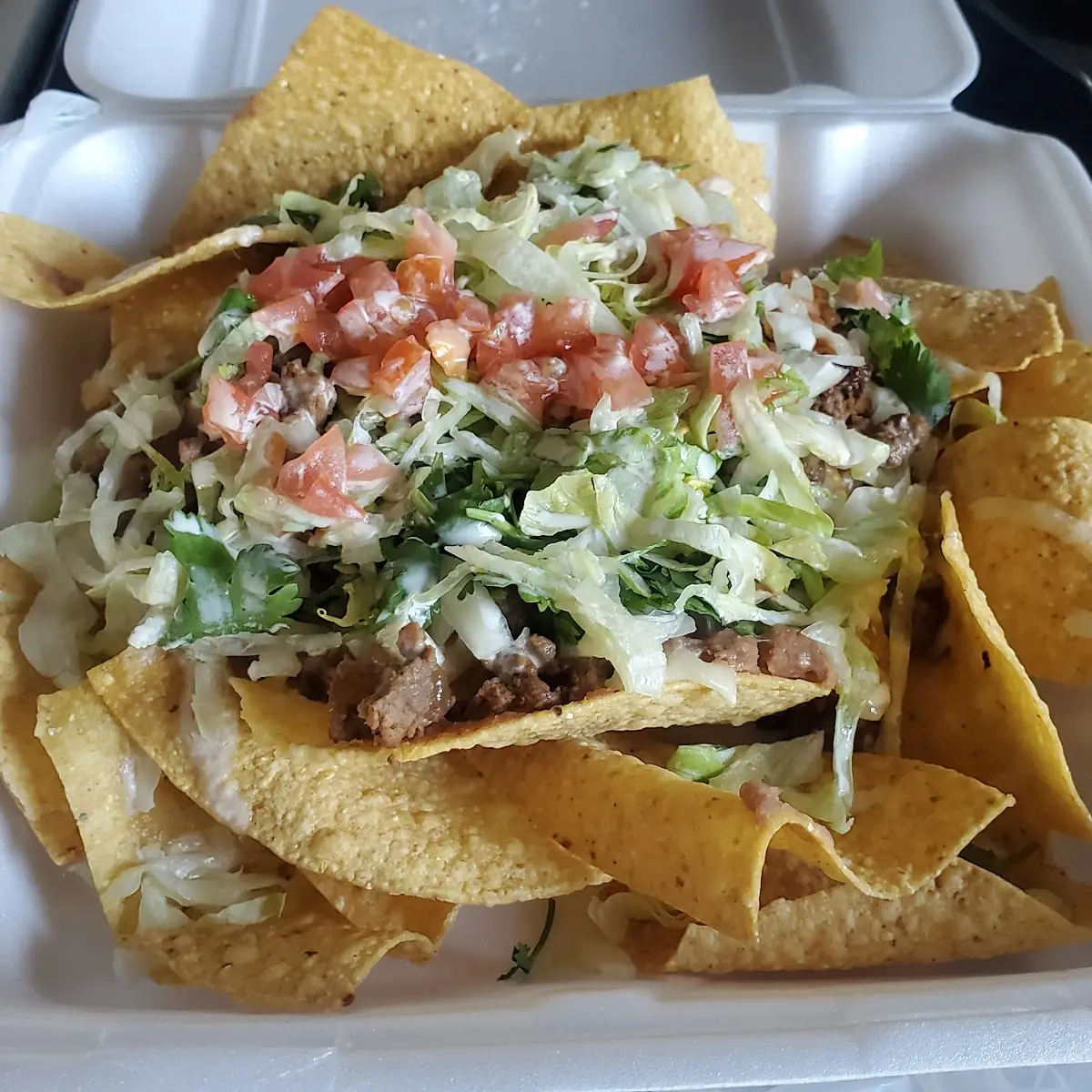 Loaded Asada Nachos