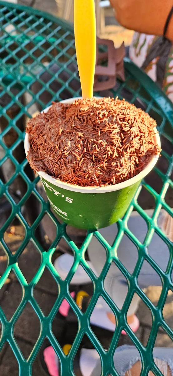 Chocolate Ice Cream with Sprinkles