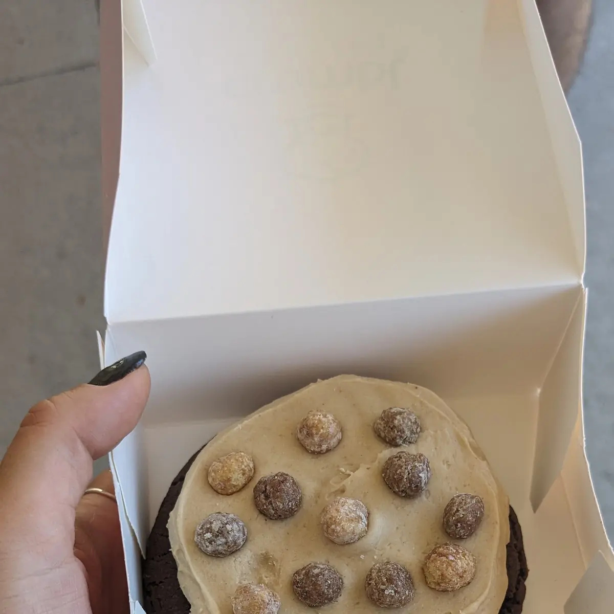 Peanut Butter Cookie