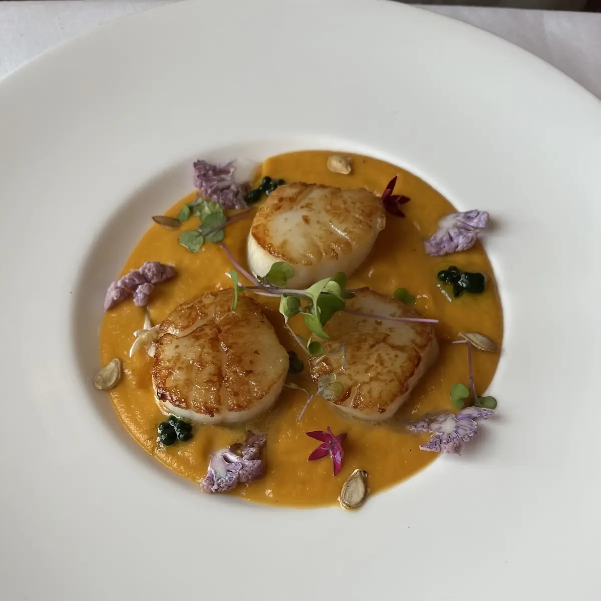 St Jacques à La Plancha Seared Scallops