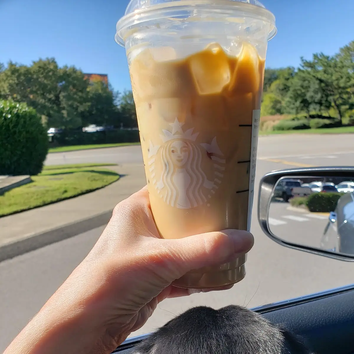 Iced Brown Sugar Coffee