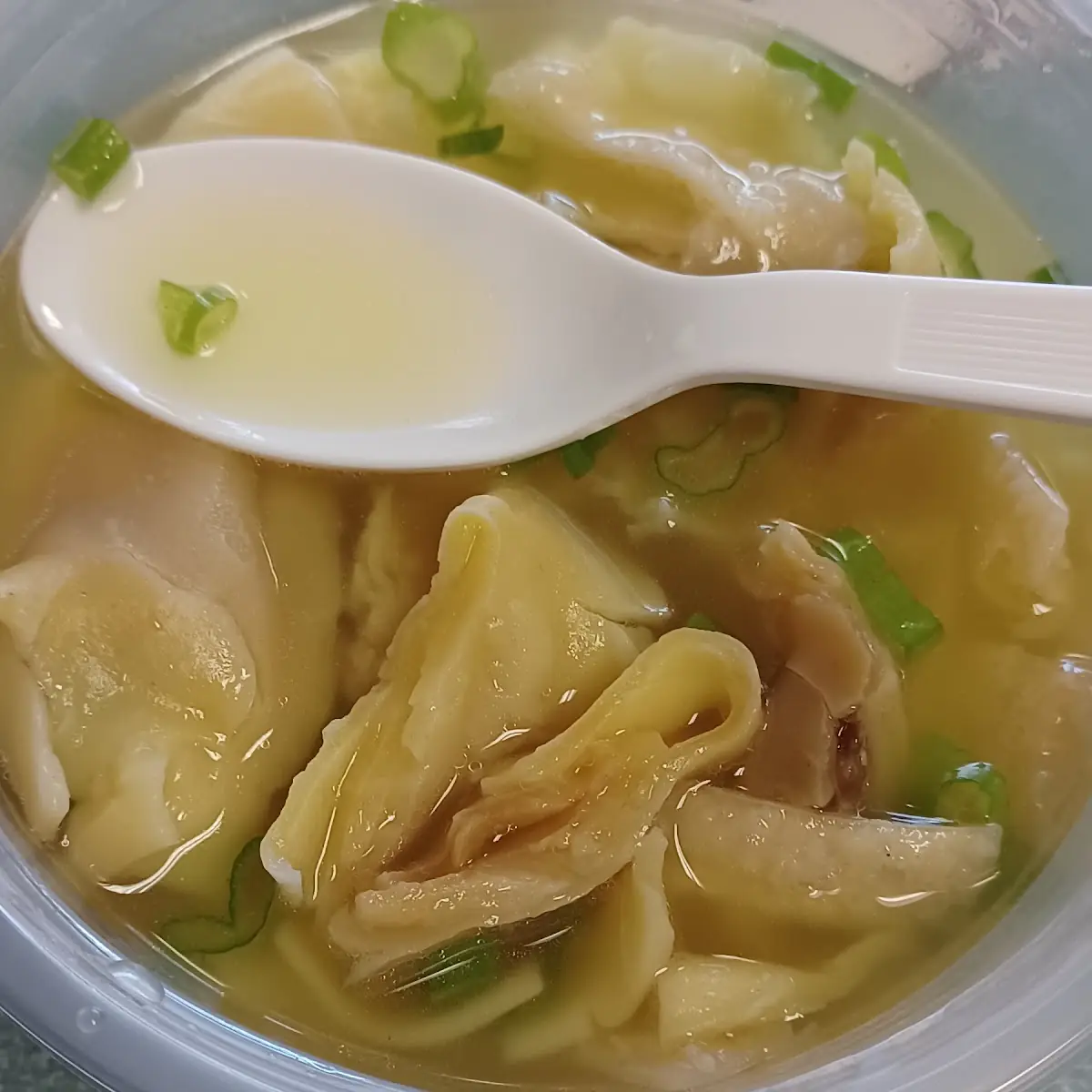 Wonton Soup