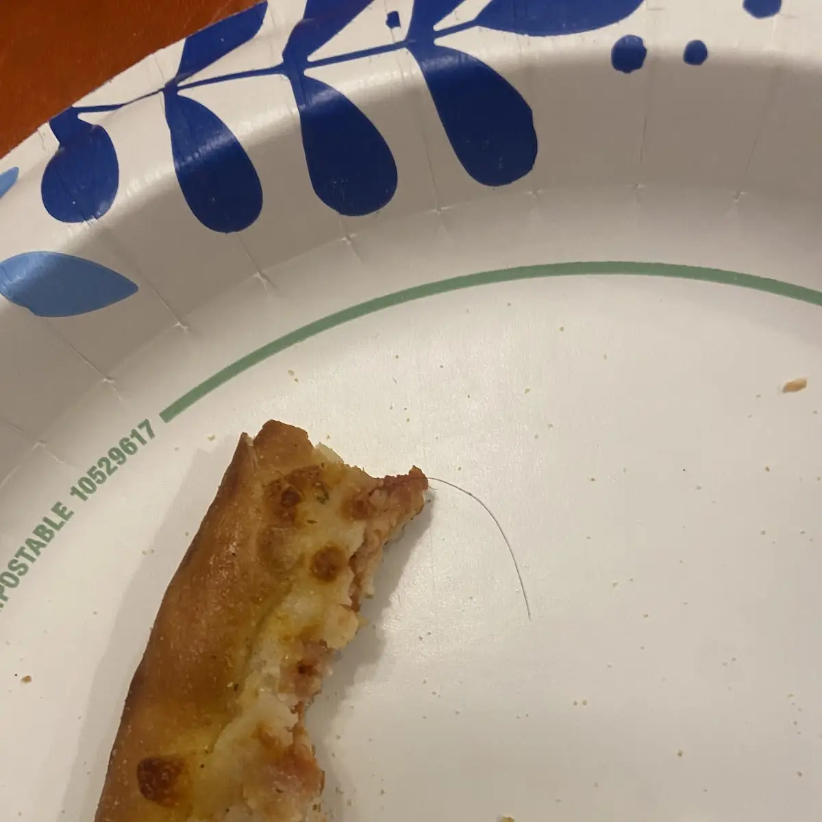 Cheese Pizza with Hair
