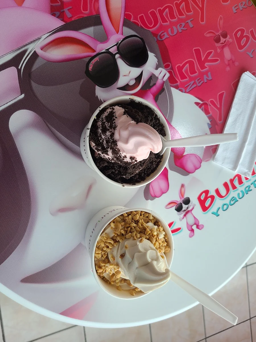 Frozen Yogurt