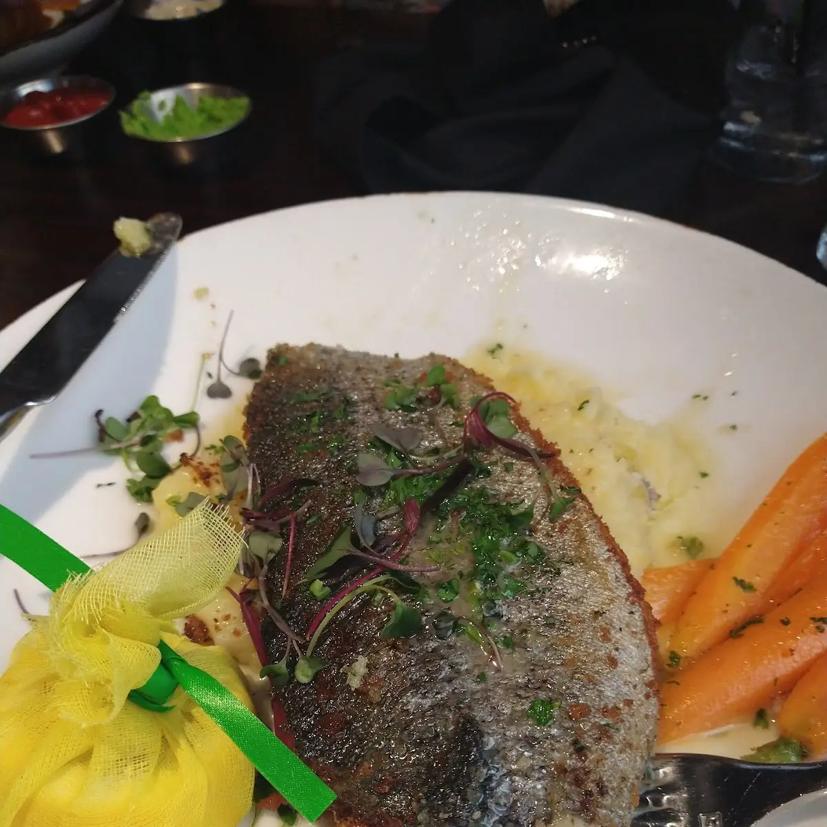 Rainbow Trout