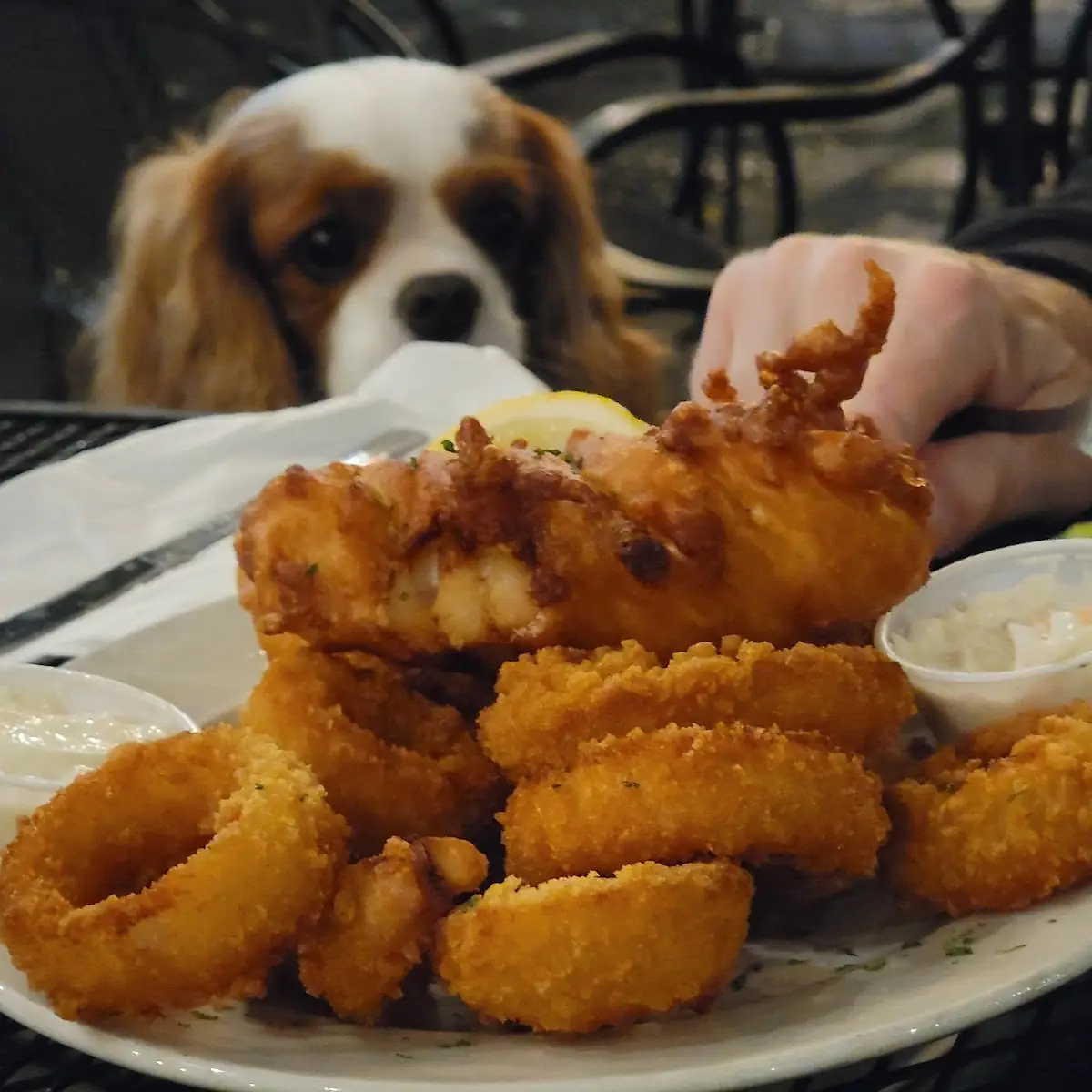Fish & Chips with Onion Rings