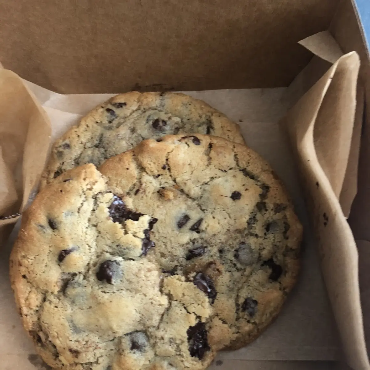 Chocolate Chip Cookie