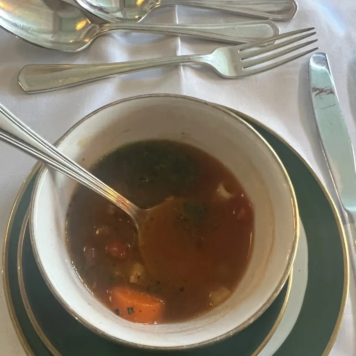 Garden Vegetable Soup
