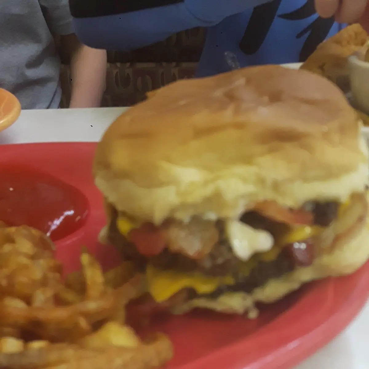 Double Bacon Cheeseburger and Curly Fries