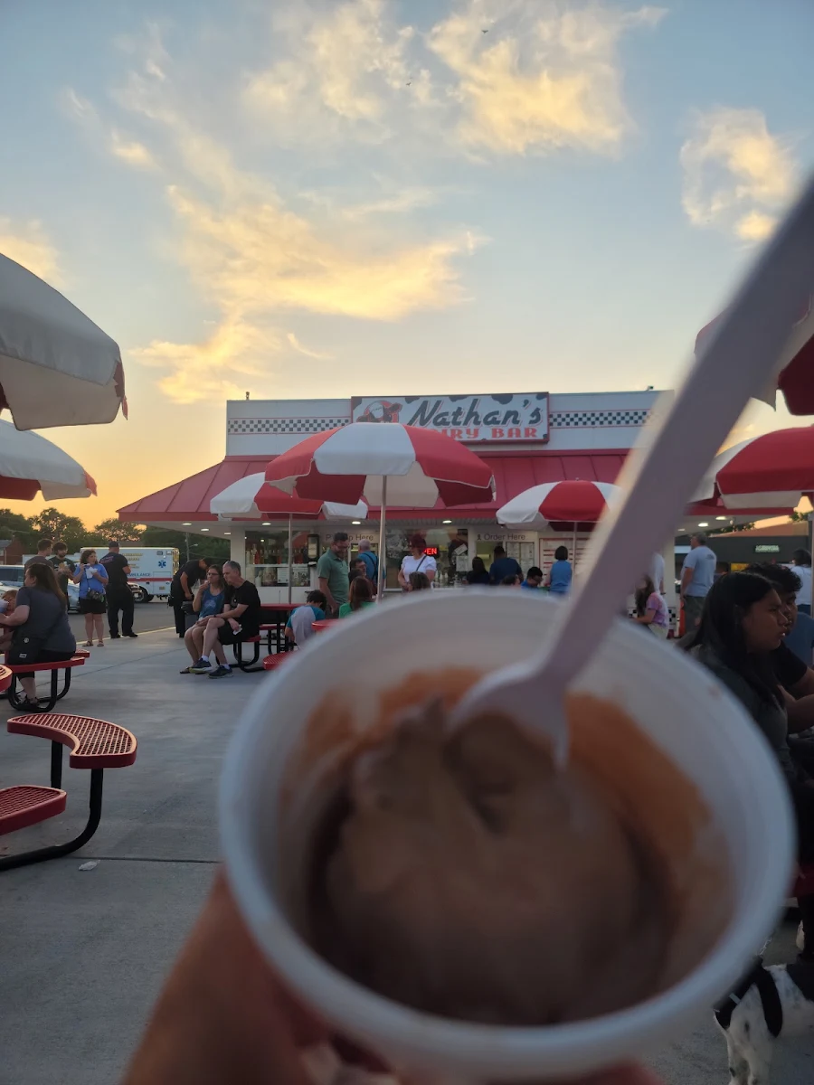 Chocolate Ice Cream