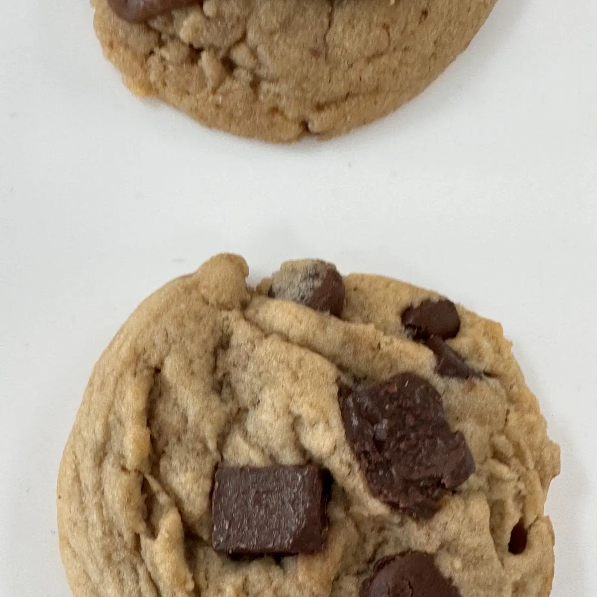 Chocolate Chip Cookie