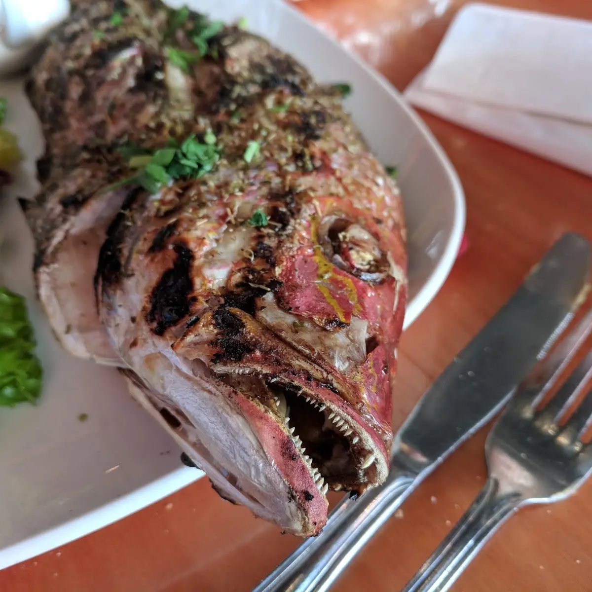 Red Snapper