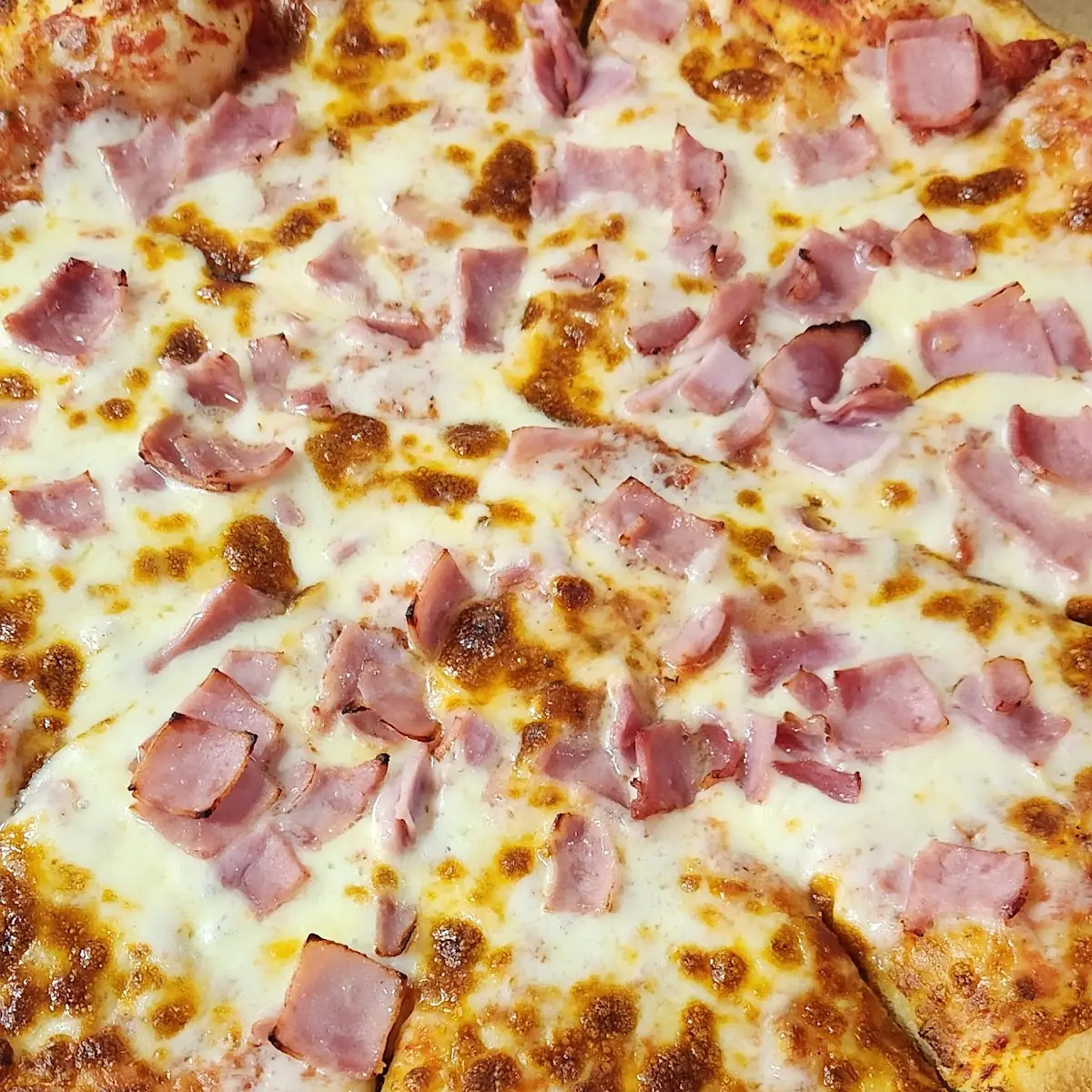 Ham N Cheese Pizza