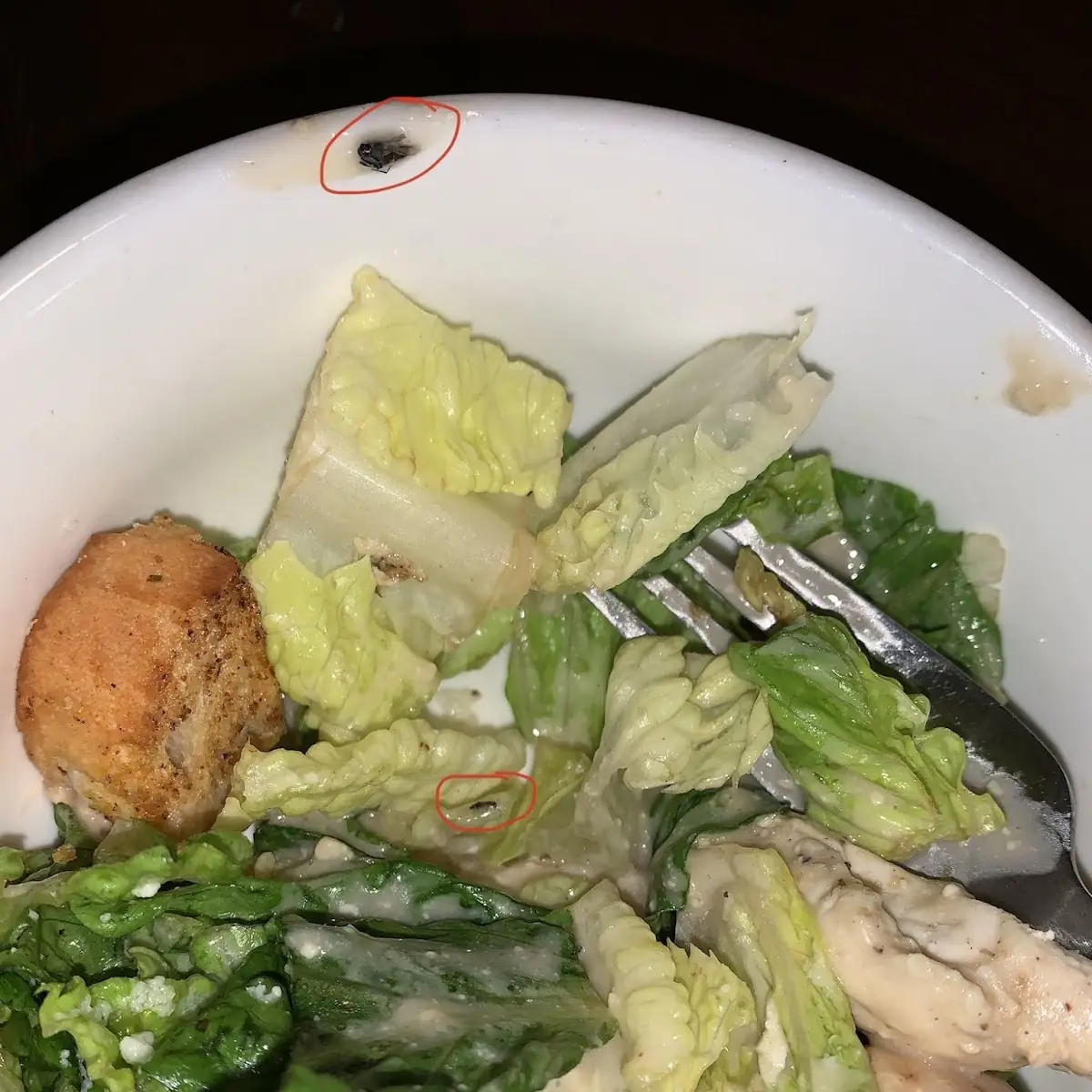 Grilled Chicken Caesar Salad