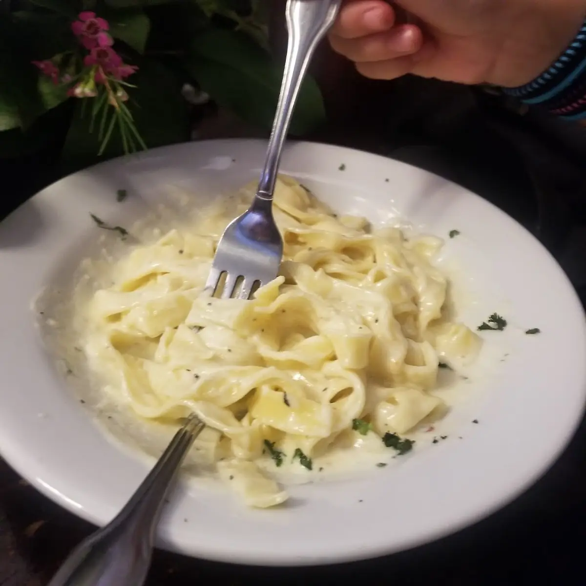 Fettuccine Alfredo