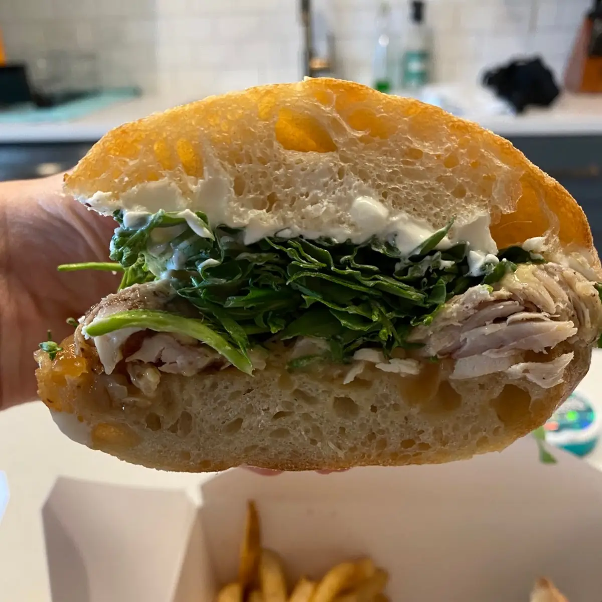 Pulled Chicken Sandwich with Fries